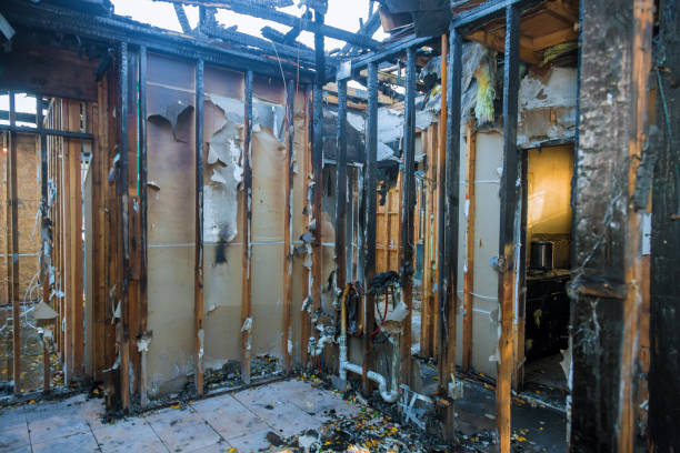 Professional Fire Damage Removal technician working in Evergreen, MT